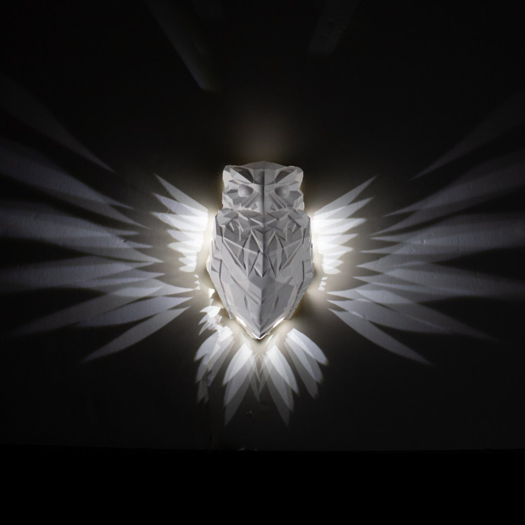 The Magical OWL Light