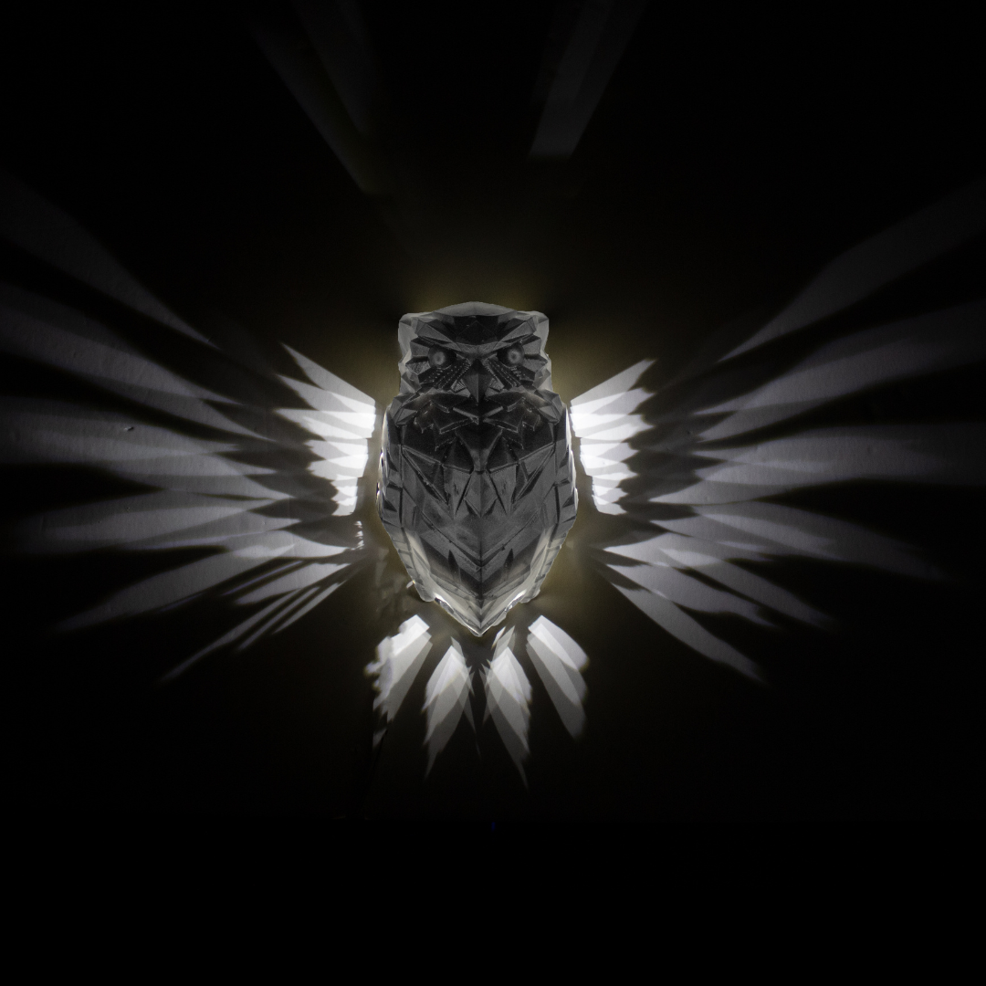 The Magical OWL Light